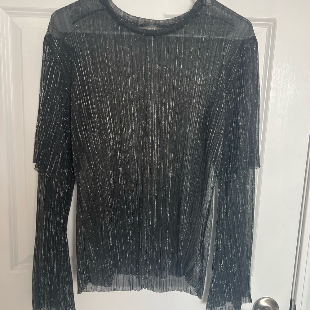 Shimmer see through blouse